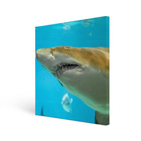 Холст квадратный с принтом Тигровая акула в Санкт-Петербурге, 100% ПВХ |  | Тематика изображения на принте: голубое море | океан | рыба