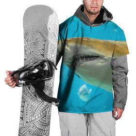 Накидка на куртку 3D с принтом Тигровая акула в Санкт-Петербурге, 100% полиэстер |  | Тематика изображения на принте: голубое море | океан | рыба