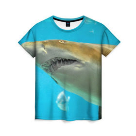 Женская футболка 3D с принтом Тигровая акула в Санкт-Петербурге, 100% полиэфир ( синтетическое хлопкоподобное полотно) | прямой крой, круглый вырез горловины, длина до линии бедер | голубое море | океан | рыба