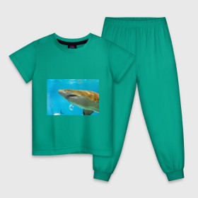 Детская пижама хлопок с принтом Тигровая акула в Санкт-Петербурге, 100% хлопок |  брюки и футболка прямого кроя, без карманов, на брюках мягкая резинка на поясе и по низу штанин
 | Тематика изображения на принте: голубое море | океан | рыба