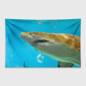 Флаг-баннер с принтом Тигровая акула в Санкт-Петербурге, 100% полиэстер | размер 67 х 109 см, плотность ткани — 95 г/м2; по краям флага есть четыре люверса для крепления | голубое море | океан | рыба