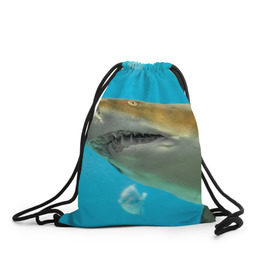 Рюкзак-мешок 3D с принтом Тигровая акула в Санкт-Петербурге, 100% полиэстер | плотность ткани — 200 г/м2, размер — 35 х 45 см; лямки — толстые шнурки, застежка на шнуровке, без карманов и подкладки | голубое море | океан | рыба