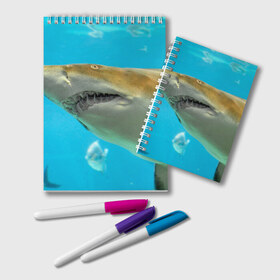 Блокнот с принтом Тигровая акула в Санкт-Петербурге, 100% бумага | 48 листов, плотность листов — 60 г/м2, плотность картонной обложки — 250 г/м2. Листы скреплены удобной пружинной спиралью. Цвет линий — светло-серый
 | Тематика изображения на принте: голубое море | океан | рыба