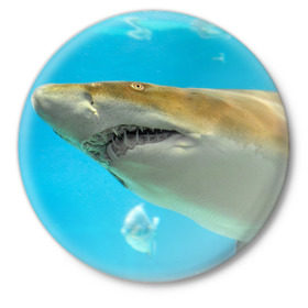 Значок с принтом Тигровая акула в Санкт-Петербурге,  металл | круглая форма, металлическая застежка в виде булавки | голубое море | океан | рыба