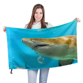 Флаг 3D с принтом Тигровая акула в Санкт-Петербурге, 100% полиэстер | плотность ткани — 95 г/м2, размер — 67 х 109 см. Принт наносится с одной стороны | Тематика изображения на принте: голубое море | океан | рыба