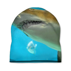Шапка 3D с принтом Тигровая акула в Санкт-Петербурге, 100% полиэстер | универсальный размер, печать по всей поверхности изделия | Тематика изображения на принте: голубое море | океан | рыба