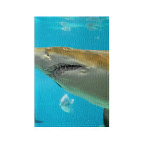 Обложка для паспорта матовая кожа с принтом Тигровая акула в Санкт-Петербурге, натуральная матовая кожа | размер 19,3 х 13,7 см; прозрачные пластиковые крепления | Тематика изображения на принте: голубое море | океан | рыба
