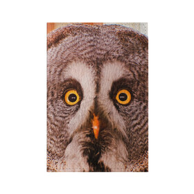 Обложка для паспорта матовая кожа с принтом Кофе в Санкт-Петербурге, натуральная матовая кожа | размер 19,3 х 13,7 см; прозрачные пластиковые крепления | owl | мудрость | птица | сова | филин