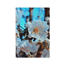 Обложка для паспорта матовая кожа с принтом Весна в Санкт-Петербурге, натуральная матовая кожа | размер 19,3 х 13,7 см; прозрачные пластиковые крепления | Тематика изображения на принте: 3d | flower | весна | другие | красивые цветы | красные | лето | поле | полевой цветок | прикольные | природа | текстуры | цветочки | цветы