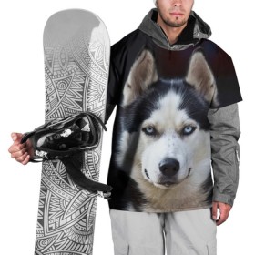Накидка на куртку 3D с принтом Хаски в Санкт-Петербурге, 100% полиэстер |  | Тематика изображения на принте: dog | лабрадор | мопс | пес | собака | такса | хаски | щеночек