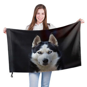 Флаг 3D с принтом Хаски в Санкт-Петербурге, 100% полиэстер | плотность ткани — 95 г/м2, размер — 67 х 109 см. Принт наносится с одной стороны | Тематика изображения на принте: dog | лабрадор | мопс | пес | собака | такса | хаски | щеночек