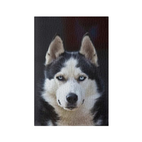 Обложка для паспорта матовая кожа с принтом Хаски в Санкт-Петербурге, натуральная матовая кожа | размер 19,3 х 13,7 см; прозрачные пластиковые крепления | dog | лабрадор | мопс | пес | собака | такса | хаски | щеночек