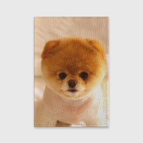 Обложка для паспорта матовая кожа с принтом Пушистик в Санкт-Петербурге, натуральная матовая кожа | размер 19,3 х 13,7 см; прозрачные пластиковые крепления | dog | пес | померанский | собака | шпиц | щеночек