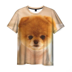 Мужская футболка 3D с принтом Пушистик в Санкт-Петербурге, 100% полиэфир | прямой крой, круглый вырез горловины, длина до линии бедер | dog | пес | померанский | собака | шпиц | щеночек