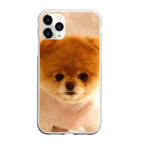 Чехол для iPhone 11 Pro матовый с принтом Пушистик в Санкт-Петербурге, Силикон |  | Тематика изображения на принте: dog | пес | померанский | собака | шпиц | щеночек