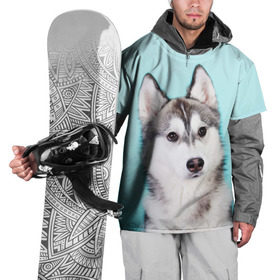 Накидка на куртку 3D с принтом Blue в Санкт-Петербурге, 100% полиэстер |  | Тематика изображения на принте: dog | бандит | пес | собака | хаски | хаски бандит | щеночек