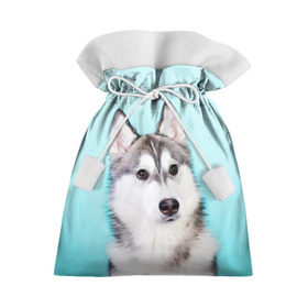 Подарочный 3D мешок с принтом Blue в Санкт-Петербурге, 100% полиэстер | Размер: 29*39 см | Тематика изображения на принте: dog | бандит | пес | собака | хаски | хаски бандит | щеночек