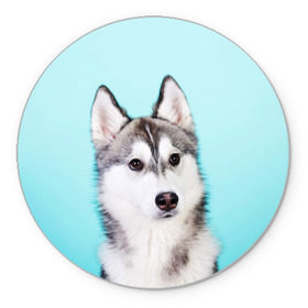 Коврик круглый с принтом Blue в Санкт-Петербурге, резина и полиэстер | круглая форма, изображение наносится на всю лицевую часть | dog | бандит | пес | собака | хаски | хаски бандит | щеночек