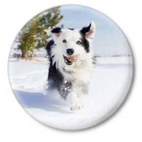 Значок с принтом Snow в Санкт-Петербурге,  металл | круглая форма, металлическая застежка в виде булавки | Тематика изображения на принте: dog | бордер | бордер колли | колли | пес | собака