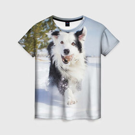 Женская футболка 3D с принтом Snow в Санкт-Петербурге, 100% полиэфир ( синтетическое хлопкоподобное полотно) | прямой крой, круглый вырез горловины, длина до линии бедер | dog | бордер | бордер колли | колли | пес | собака