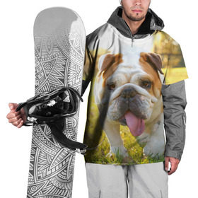 Накидка на куртку 3D с принтом Funny Dog в Санкт-Петербурге, 100% полиэстер |  | Тематика изображения на принте: dog | английский бульдог | пес | собака