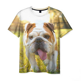 Мужская футболка 3D с принтом Funny Dog в Санкт-Петербурге, 100% полиэфир | прямой крой, круглый вырез горловины, длина до линии бедер | dog | английский бульдог | пес | собака