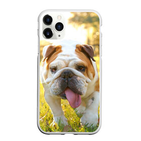 Чехол для iPhone 11 Pro матовый с принтом Funny Dog в Санкт-Петербурге, Силикон |  | Тематика изображения на принте: dog | английский бульдог | пес | собака