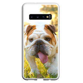 Чехол для Samsung Galaxy S10 с принтом Funny Dog в Санкт-Петербурге, Силикон | Область печати: задняя сторона чехла, без боковых панелей | Тематика изображения на принте: dog | английский бульдог | пес | собака