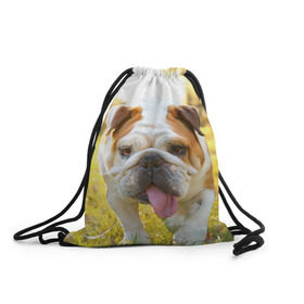 Рюкзак-мешок 3D с принтом Funny Dog в Санкт-Петербурге, 100% полиэстер | плотность ткани — 200 г/м2, размер — 35 х 45 см; лямки — толстые шнурки, застежка на шнуровке, без карманов и подкладки | Тематика изображения на принте: dog | английский бульдог | пес | собака