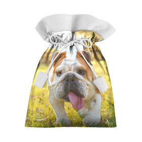 Подарочный 3D мешок с принтом Funny Dog в Санкт-Петербурге, 100% полиэстер | Размер: 29*39 см | dog | английский бульдог | пес | собака