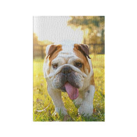 Обложка для паспорта матовая кожа с принтом Funny Dog в Санкт-Петербурге, натуральная матовая кожа | размер 19,3 х 13,7 см; прозрачные пластиковые крепления | Тематика изображения на принте: dog | английский бульдог | пес | собака