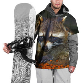 Накидка на куртку 3D с принтом Енот в Санкт-Петербурге, 100% полиэстер |  | Тематика изображения на принте: енот | енотик | животные | милый