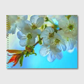 Альбом для рисования с принтом Цветочки на дереве в Санкт-Петербурге, 100% бумага
 | матовая бумага, плотность 200 мг. | 3d | flower | весна | другие | красивые цветы | лето | поле | полевой цветок | прикольные | природа | текстуры | цветочки | цветы