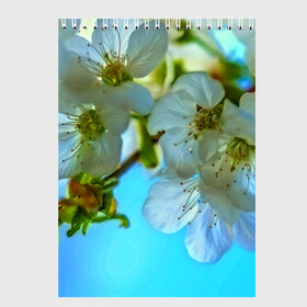 Скетчбук с принтом Цветочки на дереве в Санкт-Петербурге, 100% бумага
 | 48 листов, плотность листов — 100 г/м2, плотность картонной обложки — 250 г/м2. Листы скреплены сверху удобной пружинной спиралью | 3d | flower | весна | другие | красивые цветы | лето | поле | полевой цветок | прикольные | природа | текстуры | цветочки | цветы