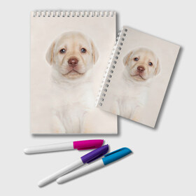 Блокнот с принтом Лабрадор в Санкт-Петербурге, 100% бумага | 48 листов, плотность листов — 60 г/м2, плотность картонной обложки — 250 г/м2. Листы скреплены удобной пружинной спиралью. Цвет линий — светло-серый
 | Тематика изображения на принте: dog | labrador | puppy | порода | собака | собачка | щенок