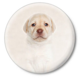 Значок с принтом Лабрадор в Санкт-Петербурге,  металл | круглая форма, металлическая застежка в виде булавки | dog | labrador | puppy | порода | собака | собачка | щенок