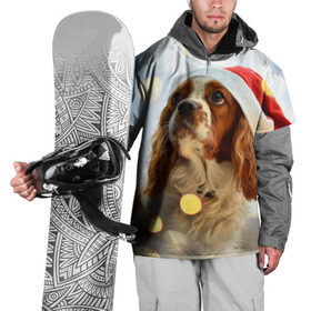 Накидка на куртку 3D с принтом Рождество в Санкт-Петербурге, 100% полиэстер |  | dog | кавалер кинг чарльз спаниель | новый год | пес | рождество | собака