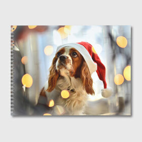 Альбом для рисования с принтом Рождество в Санкт-Петербурге, 100% бумага
 | матовая бумага, плотность 200 мг. | dog | кавалер кинг чарльз спаниель | новый год | пес | рождество | собака