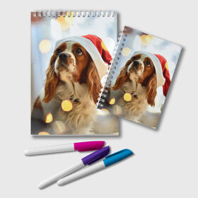 Блокнот с принтом Рождество в Санкт-Петербурге, 100% бумага | 48 листов, плотность листов — 60 г/м2, плотность картонной обложки — 250 г/м2. Листы скреплены удобной пружинной спиралью. Цвет линий — светло-серый
 | dog | кавалер кинг чарльз спаниель | новый год | пес | рождество | собака