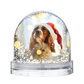 Водяной шар с принтом Рождество в Санкт-Петербурге, Пластик | Изображение внутри шара печатается на глянцевой фотобумаге с двух сторон | Тематика изображения на принте: dog | кавалер кинг чарльз спаниель | новый год | пес | рождество | собака