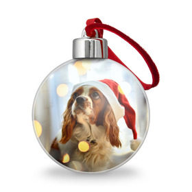 Ёлочный шар с принтом Рождество в Санкт-Петербурге, Пластик | Диаметр: 77 мм | dog | кавалер кинг чарльз спаниель | новый год | пес | рождество | собака