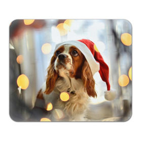 Коврик прямоугольный с принтом Рождество в Санкт-Петербурге, натуральный каучук | размер 230 х 185 мм; запечатка лицевой стороны | dog | кавалер кинг чарльз спаниель | новый год | пес | рождество | собака