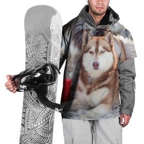 Накидка на куртку 3D с принтом Хаски в Санкт-Петербурге, 100% полиэстер |  | Тематика изображения на принте: dog | лабрадор | мопс | пес | собака | такса | хаски | щеночек