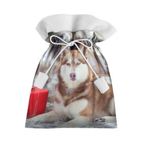 Подарочный 3D мешок с принтом Хаски в Санкт-Петербурге, 100% полиэстер | Размер: 29*39 см | Тематика изображения на принте: dog | лабрадор | мопс | пес | собака | такса | хаски | щеночек