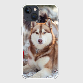 Чехол для iPhone 13 с принтом Хаски в Санкт-Петербурге,  |  | dog | лабрадор | мопс | пес | собака | такса | хаски | щеночек