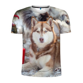 Мужская футболка 3D спортивная с принтом Хаски в Санкт-Петербурге, 100% полиэстер с улучшенными характеристиками | приталенный силуэт, круглая горловина, широкие плечи, сужается к линии бедра | dog | лабрадор | мопс | пес | собака | такса | хаски | щеночек