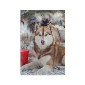 Обложка для паспорта матовая кожа с принтом Хаски в Санкт-Петербурге, натуральная матовая кожа | размер 19,3 х 13,7 см; прозрачные пластиковые крепления | Тематика изображения на принте: dog | лабрадор | мопс | пес | собака | такса | хаски | щеночек