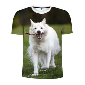 Мужская футболка 3D спортивная с принтом Палочка в Санкт-Петербурге, 100% полиэстер с улучшенными характеристиками | приталенный силуэт, круглая горловина, широкие плечи, сужается к линии бедра | dog | лабрадор | мопс | пес | собака | такса | хаски | щеночек
