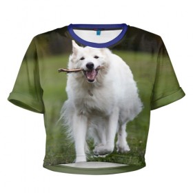 Женская футболка 3D укороченная с принтом Палочка в Санкт-Петербурге, 100% полиэстер | круглая горловина, длина футболки до линии талии, рукава с отворотами | dog | лабрадор | мопс | пес | собака | такса | хаски | щеночек