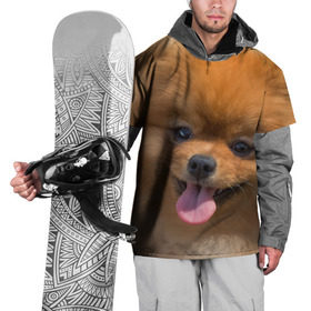 Накидка на куртку 3D с принтом Милашка в Санкт-Петербурге, 100% полиэстер |  | Тематика изображения на принте: dog | пес | померанский | собака | шпиц | щеночек